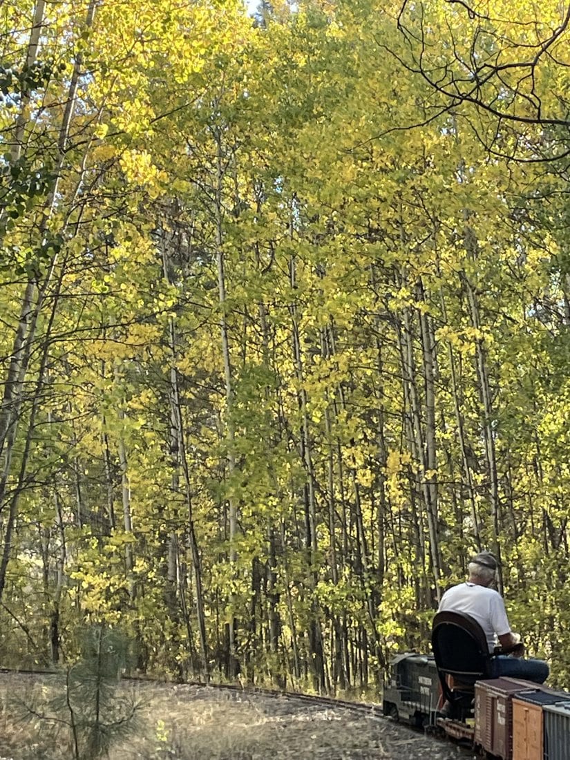 A Ride Through Aspen Grove at Train Mountain